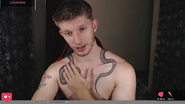 Show webcam de andrewxbii