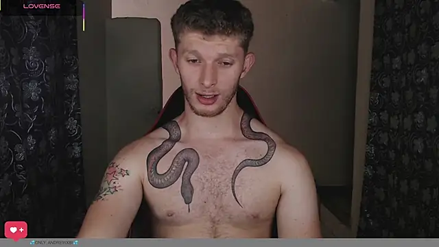 andrewxbiin Webbikameraesitys