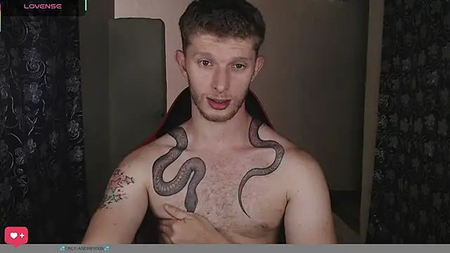 andrewxbii webcam show