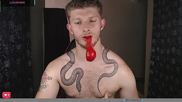andrewxbii Webcam Show