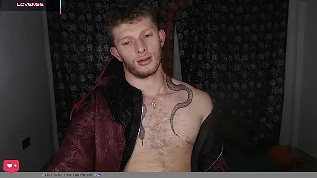 Show webcam de andrewxbii