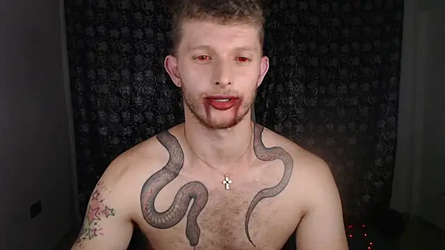 Show webcam de andrewxbii