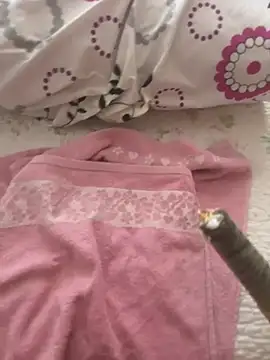 عرض كام sarpishot