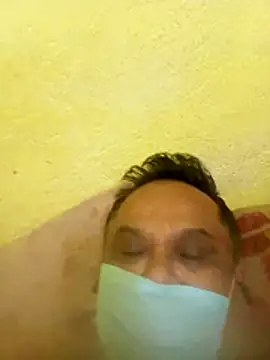 VisionSphere webcam show
