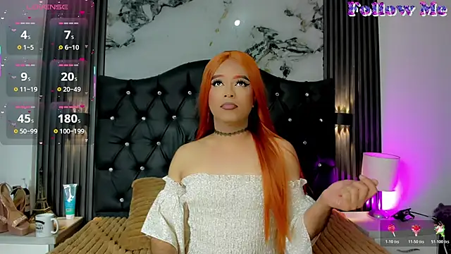 Sun_Fyre Show in webcam