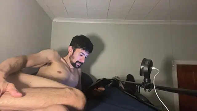Bzrvn Webbikameraesitys