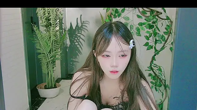 عرض كام YY-3344