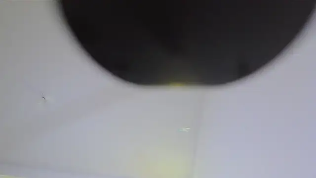 VelouraLuxe – live chatrum