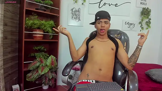 Show webcam de noah_lane