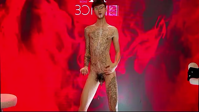 NDN-6666のウェブカメラショー