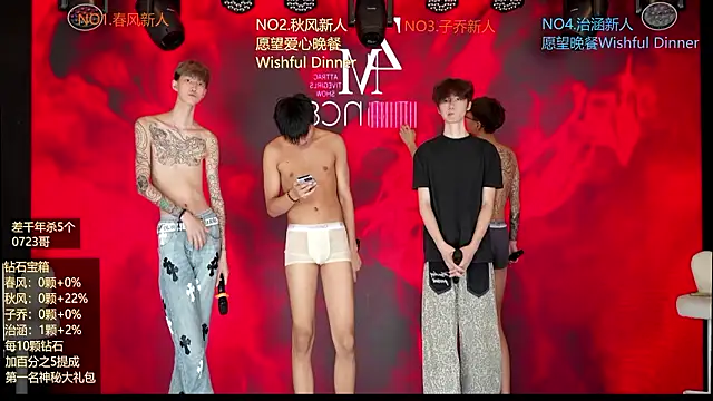 Show de webcam de NDN-6666