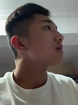 8k6660 Show Webcam