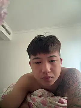 8k6660n Webbikameraesitys
