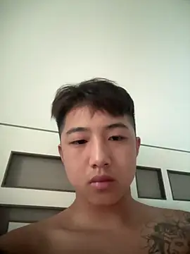 8k6660n Webbikameraesitys