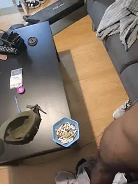 blasd32n Webbikameraesitys