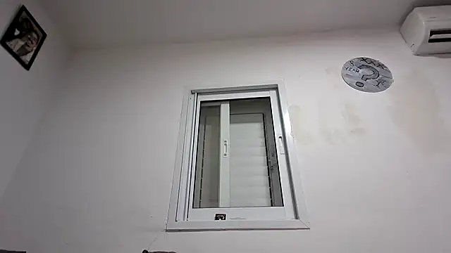 Show webcam de blasd32