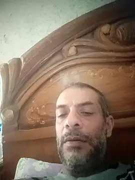 عرض كام msmsg
