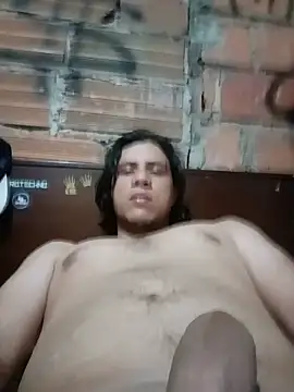 santiidndn Webbikameraesitys