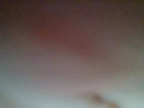 Chocolate-brownien Live chat-huone
