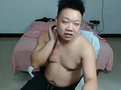 cc2003vv webcam show