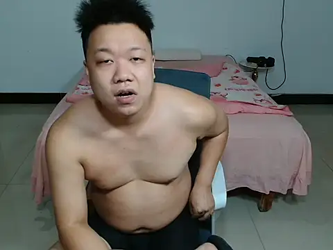 cc2003vv webcam show