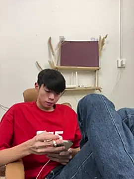 Show webcam de Hao-789