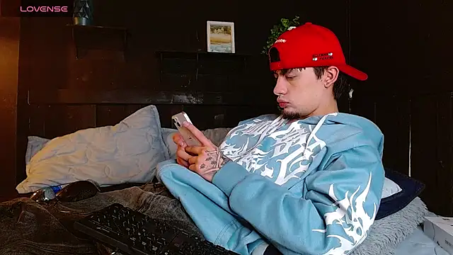 Show webcam de steev_adams