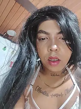 Webkamerová show Miia_Laurent1