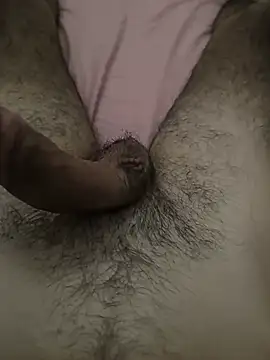 Show de LeMenda729 na webcam