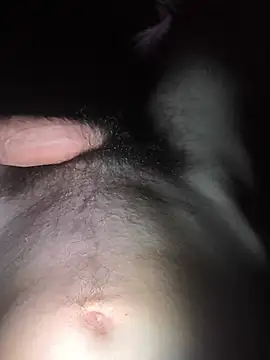 Show webcam de LeMenda729