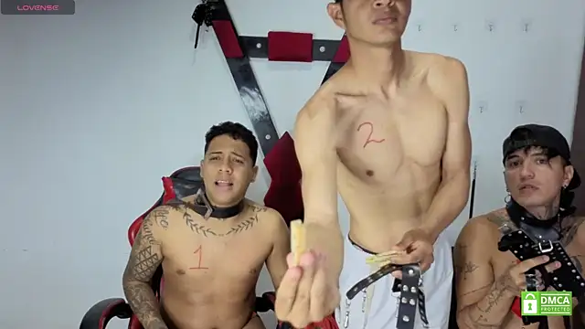 EliteBoysLive ওয়েবক্যাম শো