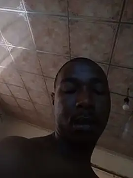 bandile3dn Webbikameraesitys