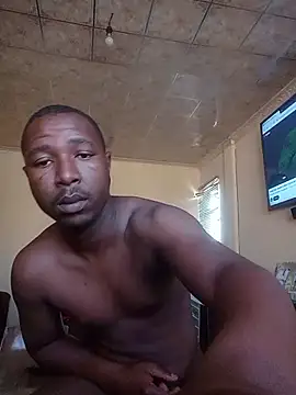 Show modela bandile3d na web-kameri