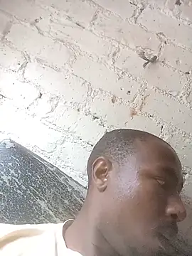 bandile3d Show in webcam
