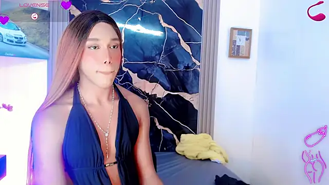 Merlith_Hummern Webbikameraesitys