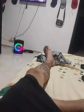 andrespalechorn Webbikameraesitys