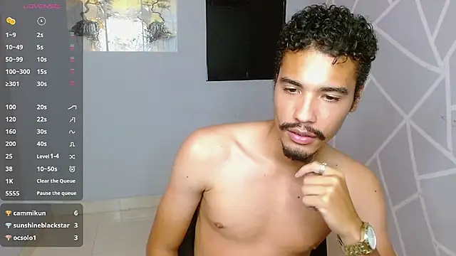 wolf_vip_n Webbikameraesitys