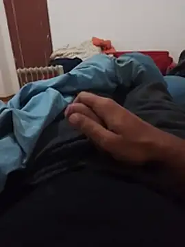 Show webcam de mufasa_00