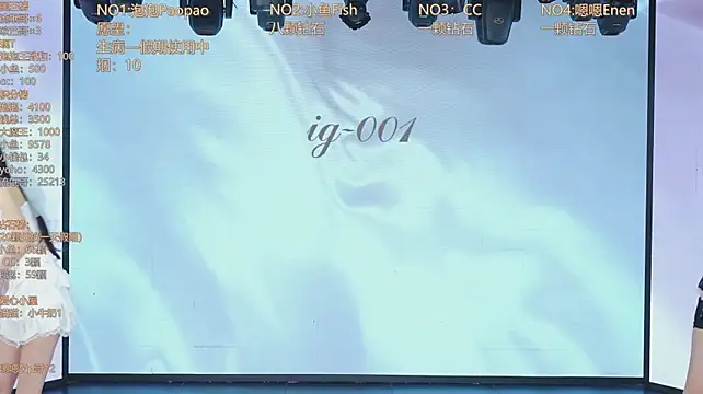 IG-001n Webbikameraesitys
