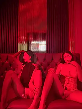 Show modela party-girls na web-kameri