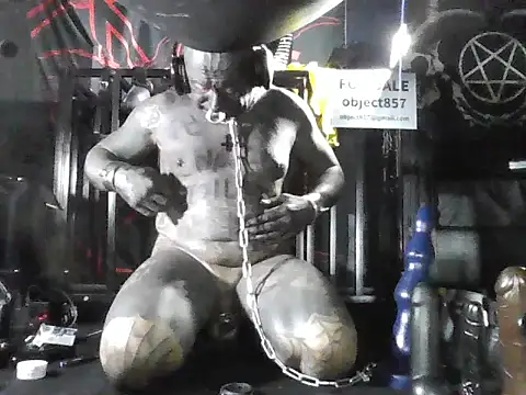 Show modela wormobject na web-kameri