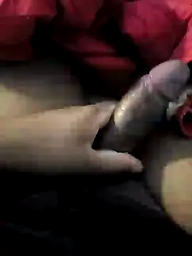 negaopa Pertunjukan Webcam