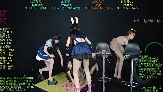 YQS-001 Show Webcam