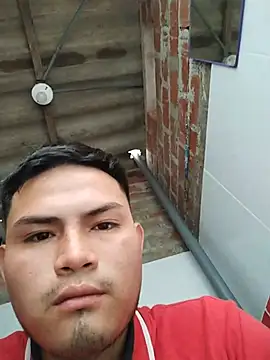 Gxsv30 Show Webcam
