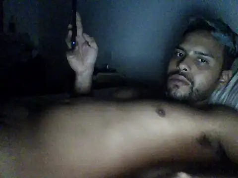 Franklin_Vikingo420n Webbikameraesitys