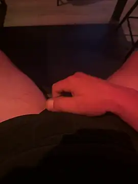 Show Webcam de Dutchwank