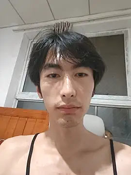 wangshuais 网络视讯表演