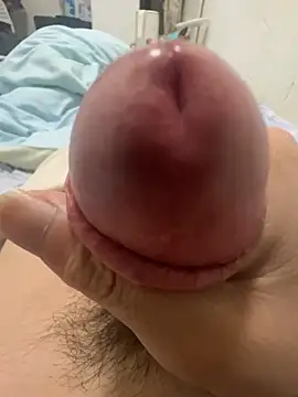 whcs 在線直播表演