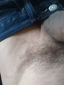 Show modela Vergudn na web-kameri