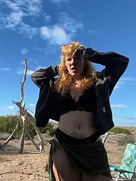 Synnix Webcam-Show